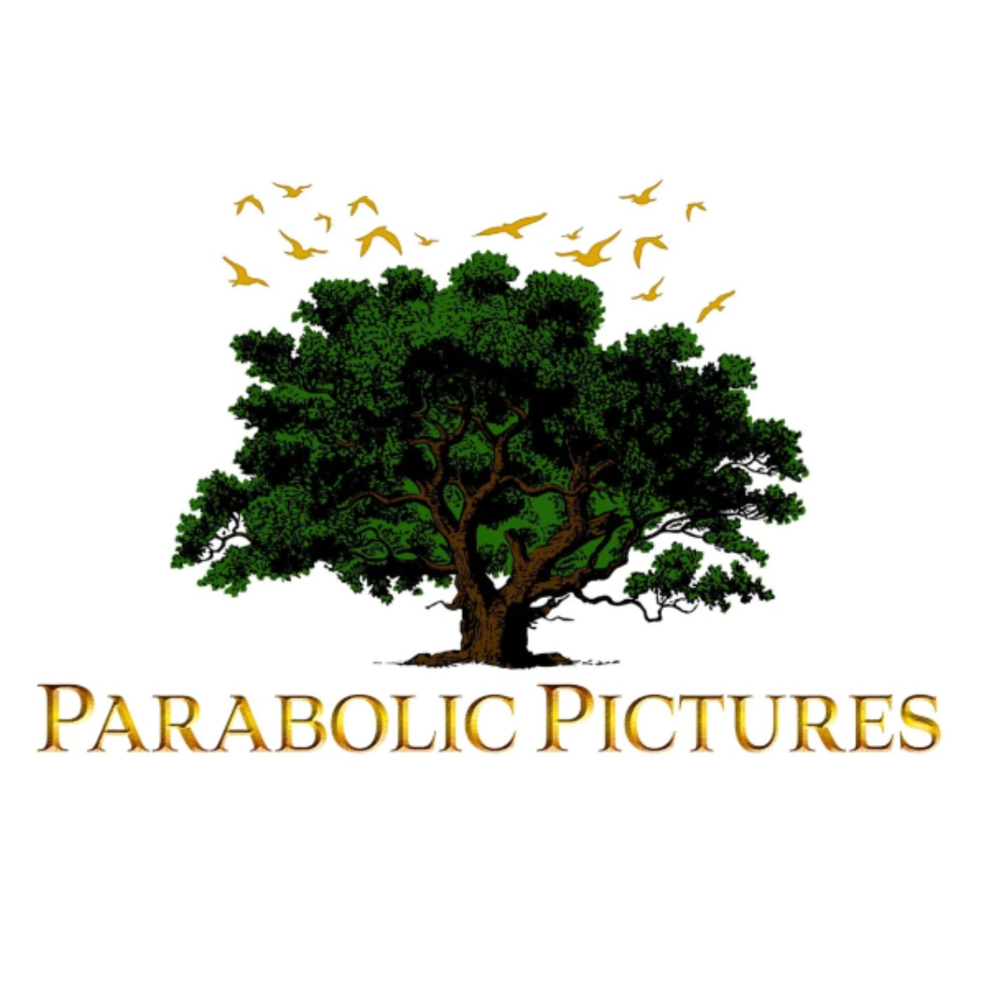parabolic pictures
